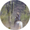 SHARON WASSON Avatar