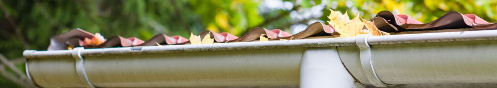 7 Ways to Prepare Your Gutters for Fall