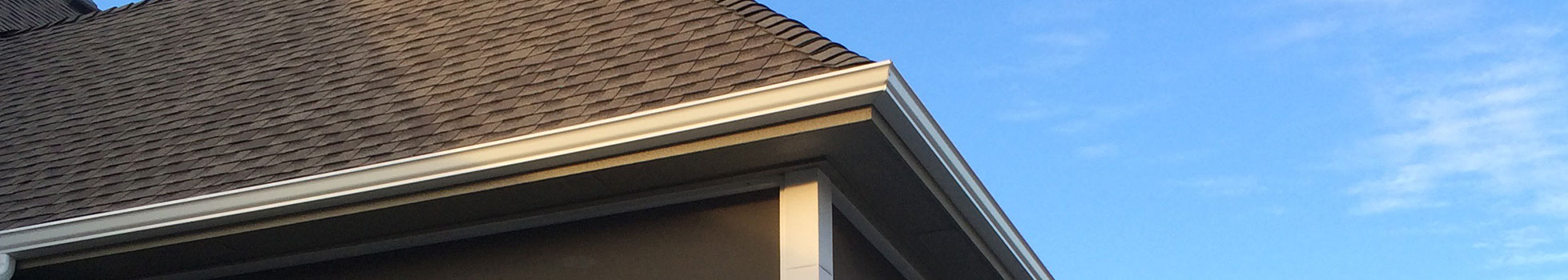Is there a downside to gutter guards?