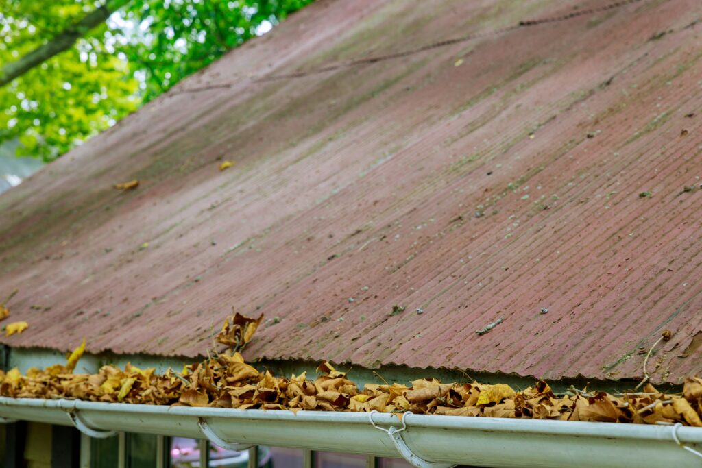 Yellow leaves clogging gutters